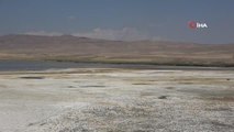 Kuş Cenneti Erçek Gölü'nde Büyük Su Kaybı