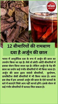 12 बीमारियों की रामबाण दवा है अर्जुन की छाल, रोजाना सेवन करने से मिलेंगे चमत्कारी फायदे