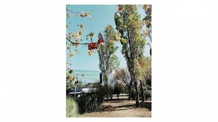 Realme C53 İncelemesi