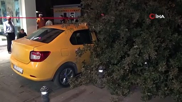 193 yıllık ağaç taksi durağına devrildi, 2 taksi ağacın altında kaldı
