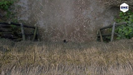 វេទមន្តគ្រូសិល្ប៍អន្ទងវិញ្ញាណភាគ 06 – ការផ្សះផ្សារពិតប្រាកដនៃអន្ទងវិញ្ញាណ