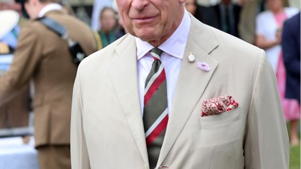 Ce geste qu’Emmanuel Macron n’aurait jamais dû avoir pendant la visite du roi Charles III