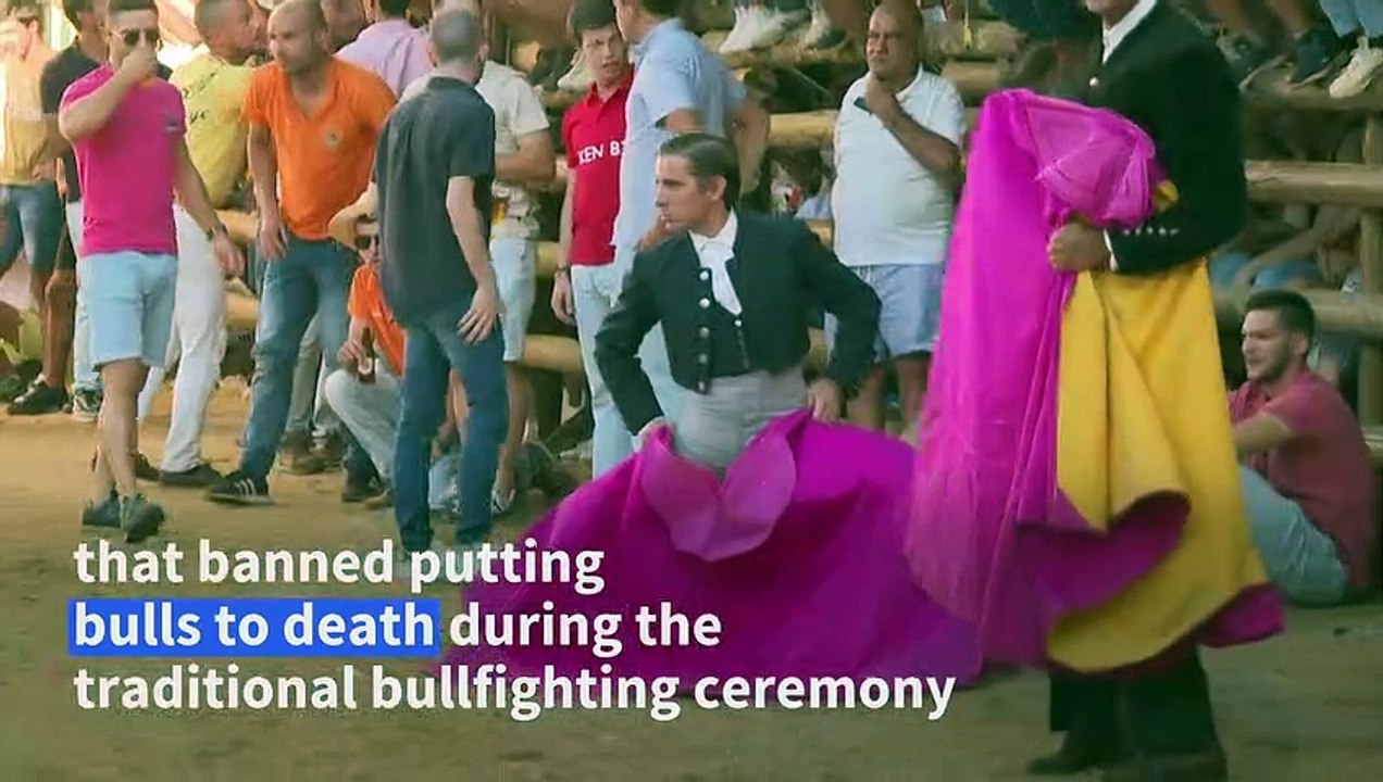 Portuguese fight to preserve bullfighting exception in Barrancos