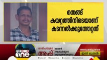 താമരശ്ശരിയിൽ കടന്നൽ കുത്തേറ്റ തെങ്ങുകയറ്റ തൊഴിലാളി മരിച്ചു