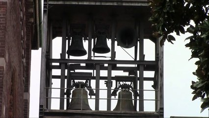 Campane di Monza | San Carlo