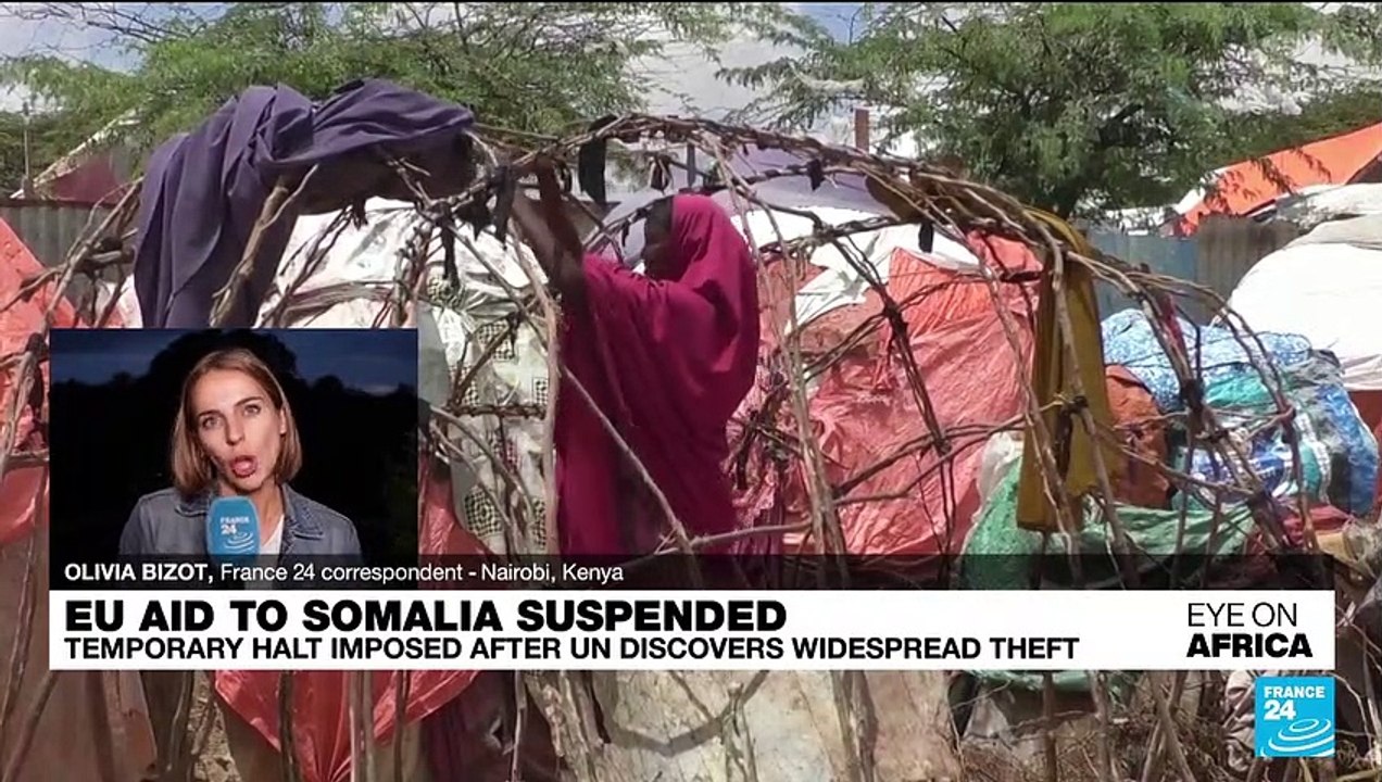 EU aid to Somalia 'temporarily suspended' over widespread theft