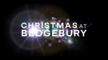 PREVIEW: Christmas at Bedgebury 2023 to wow with magical new lights
