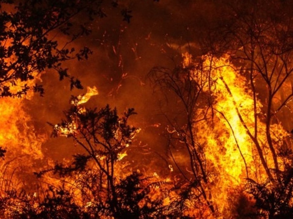 Studie: Waldbrände erhöhen das Gesundheitsrisiko