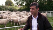 Rishi Sunak insists UK will meet climate targets as he unravels green policies