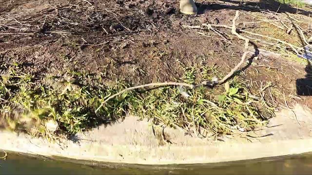 Man spots ‘disgusting’ treated sewage with ‘undigested sweetcorn’ in River Thames