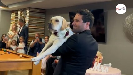 Ils emmènent leur chien à leur mariage : durant la soirée, le marié va surprendre tous les invités