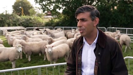 Sunak ‘absolutely confident’ UK will meet net zero targets