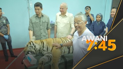 Agong berkenan lawat pusat menyelamat hidupan liar kebangsaan