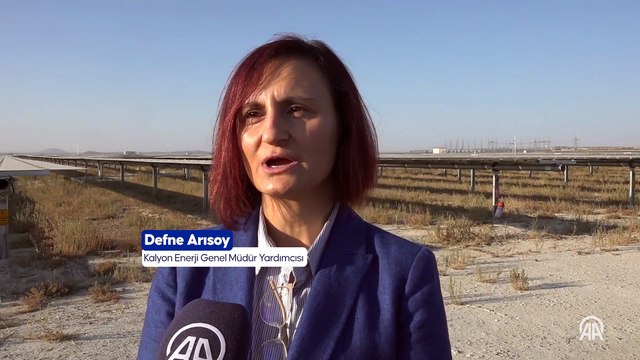 Avrupa'nın en büyük Güneş Enerjisi Santrali'nde otlatma