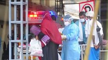 ¿Virus Nipah llegaría a Colombia? Epidemiólogo responde