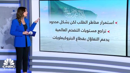 قطاع البتروكيماويات في السعودية.. متى سيدخل مرحلة التعافي؟