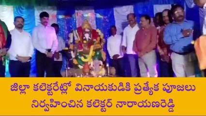 వికారాబాద్: వినాయకుడికి ప్రత్యేక పూజలు నిర్వహించిన కలెక్టర్
