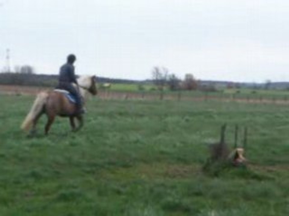 Jessy et lolo obstacle