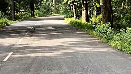 सडक़ से नजर हटते ही घटती हैं गंभीर दुर्घटनाएं