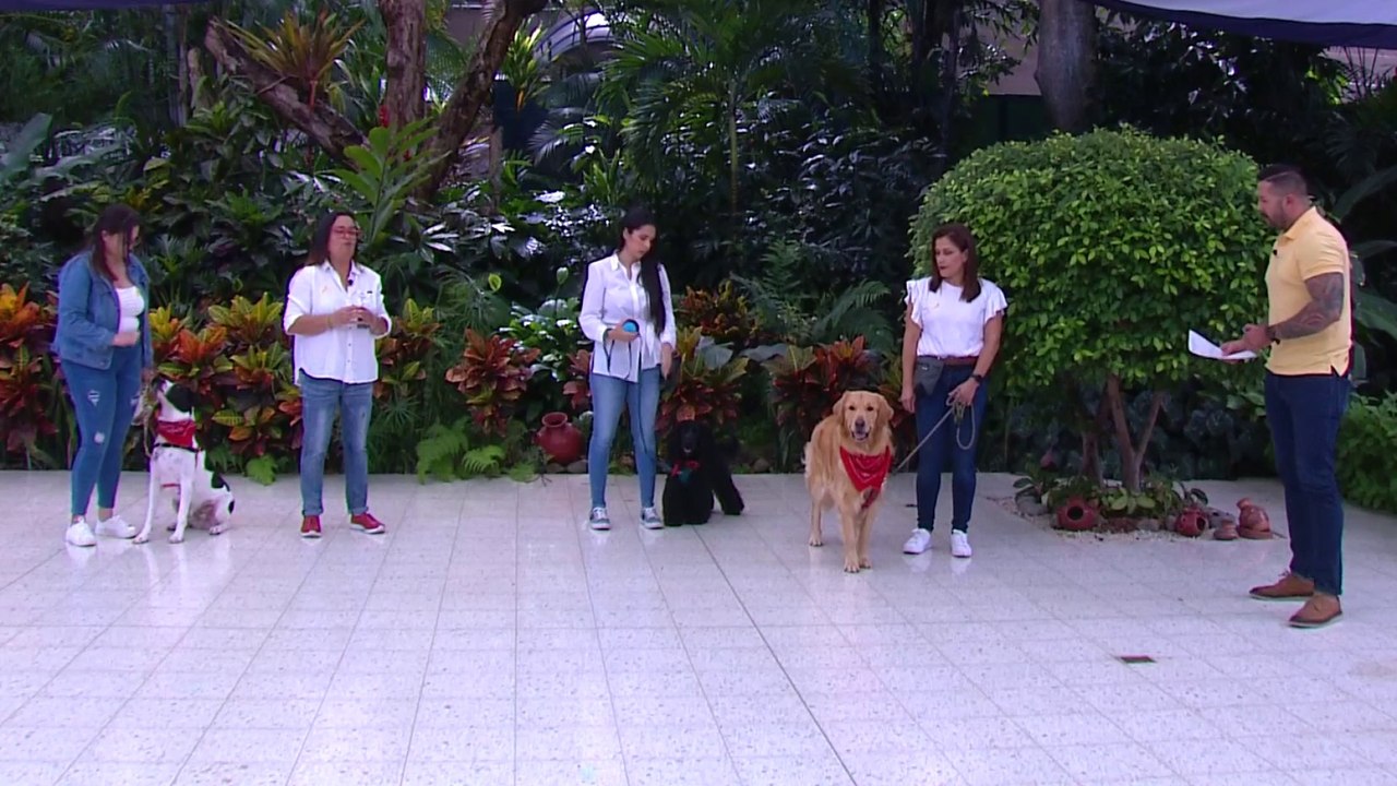 bd-ladridos-y-gruñidos-comunicacion-de-nuestros-perros-210923