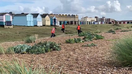 Great British Beach Clean