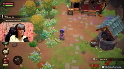 Fae Farm Introduction To