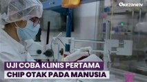 Perusahan Chip Otak Milik Elon Musk Dapat Izin untuk Uji Klinis pada Manusia