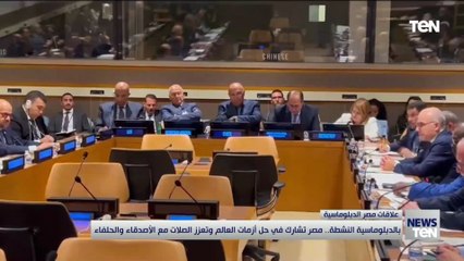 الدبلوماسية النشطة.. مصر تشارك في حل أزمات العالم وتعزز الصلات مع الأصدقاء والحلفاء