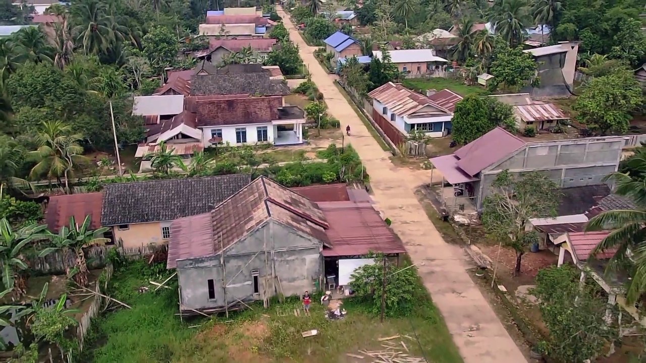 Village Landscape