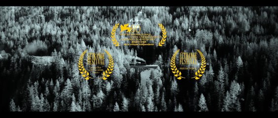 Universal theory de Timm Kröger - la bande-annonce