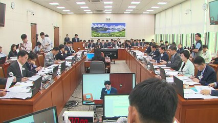 외교차관 "한·일·중 정상회의, 연내 혹은 내년 초 개최 가능" / YTN