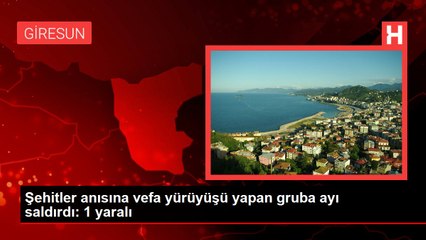 Şehitler anısına vefa yürüyüşü yapan gruba ayı saldırdı! Ayağından ısırılan genç kendini kayalıklardan attı