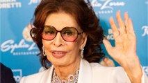 GALA VIDEO - Sophia Loren hospitalisée en urgence : l’actrice victime de fractures multiples après une chute
