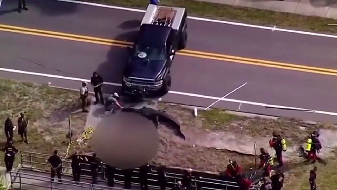 Woman killed in Florida alligator attack identified as homeless mother