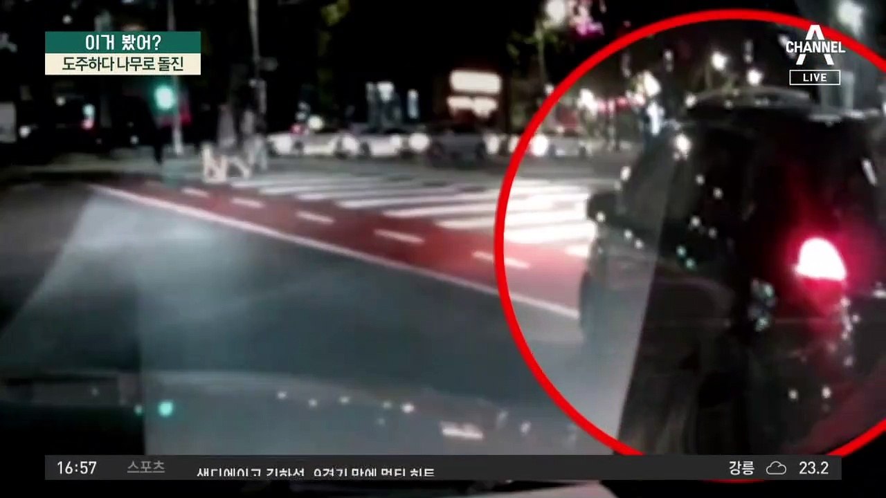 도주하다 나무로 돌진…음주 차량 막은 시민들