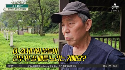 “버섯 한 송이도 안 돼요”…불법 채취꾼 드론 단속