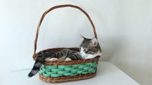 If It Fits, I Sits (2)