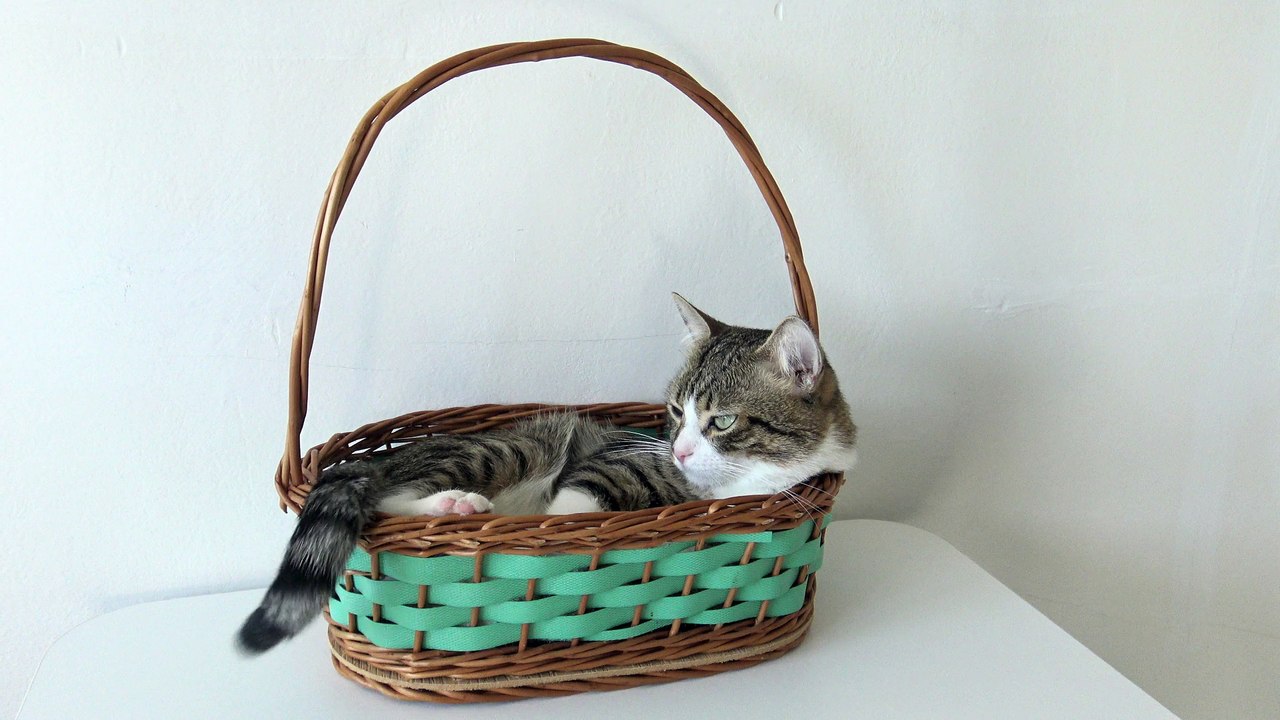 If It Fits, I Sits (2)