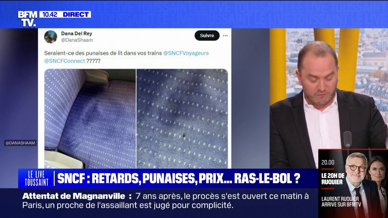 Retards, punaises de lit, tarifs élevés...le ras-le-bol des usagers de la SNCF