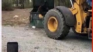Bear Trapped in Restaurant Dumpster Freed by Bulldozer
