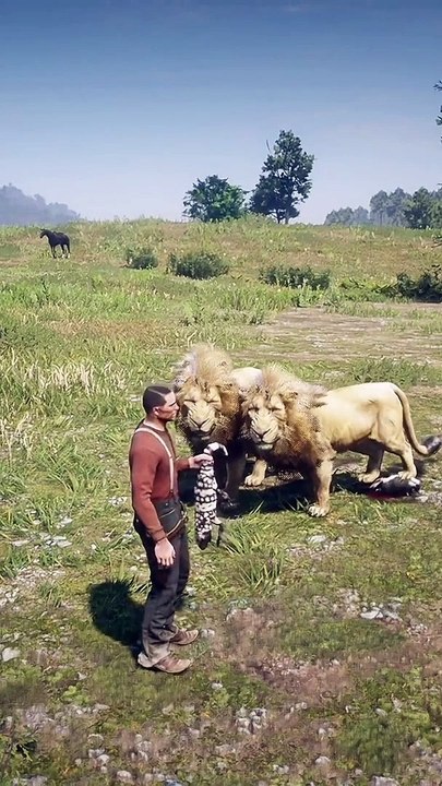RDR2 | Red dead Redemption lion fight | Wild attack