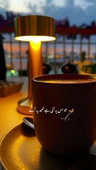 Jo Uspe Aani Hai/tea lover/sad poetry/urdulines