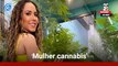 Resenha do MEIA: 'Mulher Cannabis'