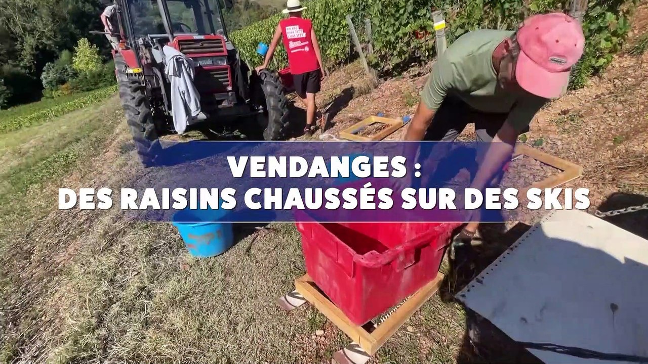 Le Grand J.T. des Territoires du 23 septembre 2023