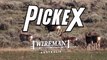 PickeX | August 22, 2023 | Sponsored Content - Farmonline