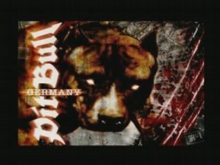 Mix hardcore so many sacrifices  american hx 24havan la nuit