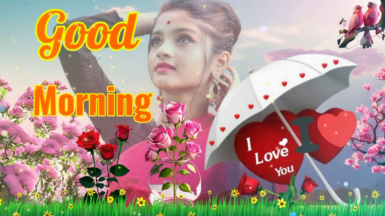 Good morning status, good morning shayari, good morning video
