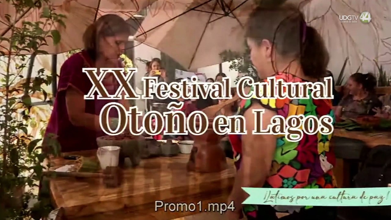 Desapariciones en Lagos frenan actividades nocturnas en Lagos