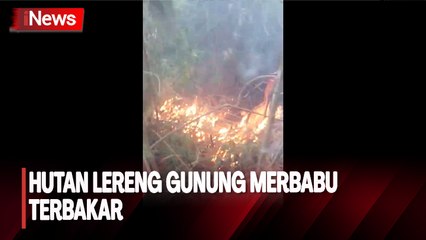 Hutan Lereng Gunung Merbabu Terbakar