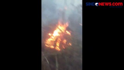 Aksi Petugas Gabungan Berjibaku Padamkan Kebakaran di Hutan Lereng Gunung Merbabu
